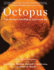 Octopus; the Ocean's Intelligent Invertebrate