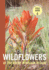 Wildflowers of the Rocky Mountain Region (a Timber Press Field Guide)
