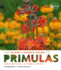 Plant Lovers Guide to Primulas (the Plant Lover's Guides)