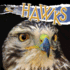 Hawks (Raptors (Rourke Library)