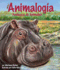 Animalogy, Animal Analogies