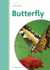 Butterfly (Amicus Readers Level 2: Animal Life Cycles)