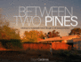 Between Two Pines: Ushering in a Sustainable Future Through an Art-Science Practice