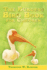 The Burgess Bird Book for Children