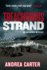 Treacherous Strand (an Inishowen Mystery)