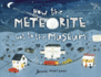 How the Meteorite Got to the Museum (How the...Got to the Museum)