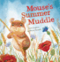 Mouse's Summer Muddle (Animal Seasons)