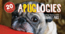 Apuglogies: Saying Sorry with Adorable Pugs