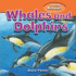 Whales and Dolphins (I Love Animals)