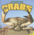 Crabs (Wow World of Wonder)