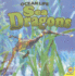 Sea Dragons (Wow World of Wonder)