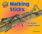 Walking Sticks: the World's Longest Insects