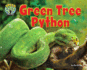 Green Tree Python (Science Slam: Treed-Animal Life in the Trees)