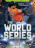 World Series, the (Sports Championships)