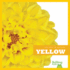 Yellow (Bullfrog Books: Colors in Nature)