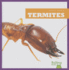 Termites (Bullfrog Books: Insect World)