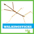 Walkingsticks (Bullfrog Books: Insect World)