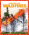 Wildfires Disaster Zone