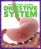 Digestive System Amazing Body Systems
