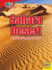 Sahara Desert: the World's Largest Desert (Wonders of the World)