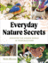 Birds & Blooms Everyday Nature Secrets: Discover the Hidden World in Your Backyard