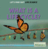 What is a Life Cycle? (Let's Find Out! : Life Science, 2)