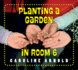 Planting a Garden in Room 6