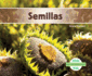 Semillas/ Seeds (Anatoma De Una Planta/ Plant Anatomy) (Spanish Edition)