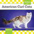 American Curl Cats (Cats Set 8)