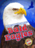 Bald Eagles (Blastoff! Readers: North American Animals) (North American Animals: Blastoff Readers, Level 3)