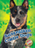 Australian Cattle Dogs (Awesome Dogs)