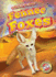 Fennec Foxes (Animals of the Desert)