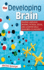 The Developing Brain: Building Language, Reading, Physical, Social, and Cognitive Skills From Birth to Age Eight