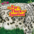 My Fur is Thick and Spotted