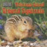 Thirteen-Lined Ground Squirrels (in Winter, Where Do They Go? )