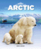 In the Arctic (I'M the Biggest)