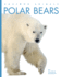 Polar Bears