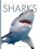 Sharks (Amazing Animals)