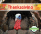 Thanksgiving (National Holidays)