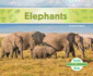 Elephants (Animal Friends)