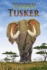Tusker (Thunder: an Elephant's Journey)
