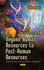 Beyond Human Resources to Post-Human Resources: Towards a New Theory of Quantity and Quality in Demographics