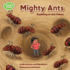 Mighty Ants: Exploring an Ant Colony (Imagine That! )