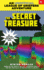 Secret Treasure: an Unofficial League of Griefers Adventure, #1 (League of Griefers Series)