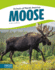 Moose (Animals of North America) (Focus Readers: Animals of North America: Beacon Level)