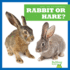 Rabbit Or Hare? (Bullfrog Books: Spot the Differences)