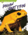 Poison Dart Frog (Deadliest Animals)