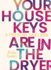 Your House Keys Are in the Dryer: a Parenting Haiku Book