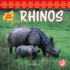 Rhinos (Asian Animals)