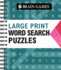 Brain Games-Large Print Word Search (Arrow)